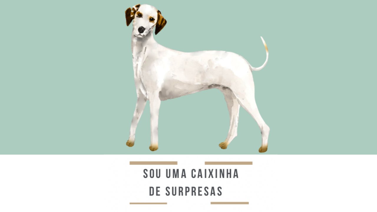 Sou uma caixinha de surpresas: quando o caso não se encaixa