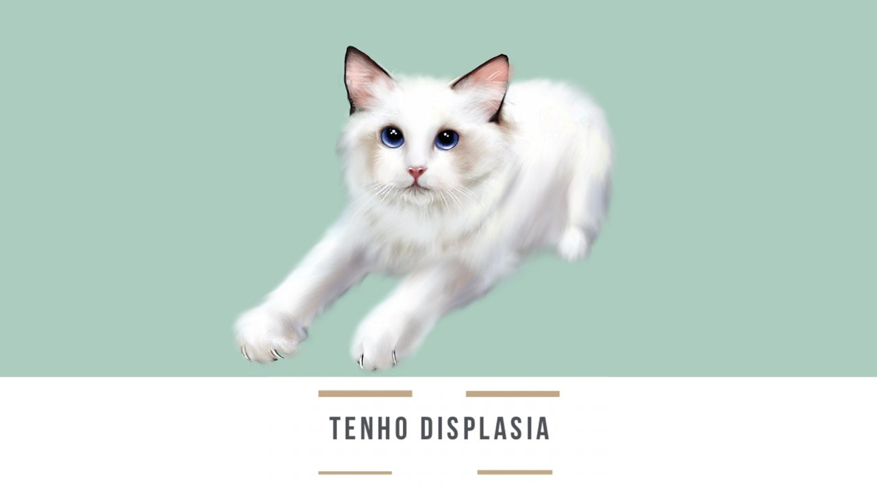 Tenho displasia: como a acupuntura ajuda cães e gatos