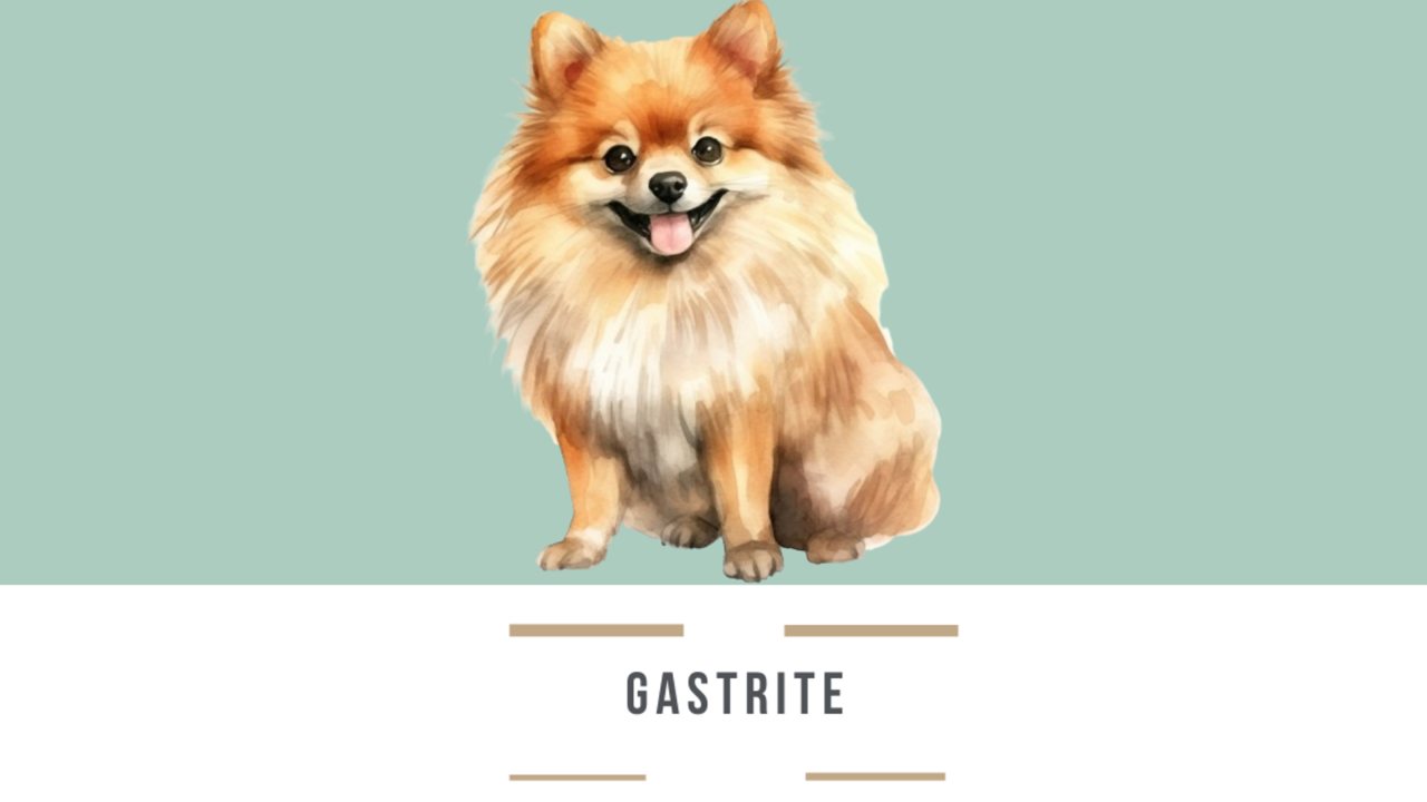 Gastrite: alívio para o estômago sensível
