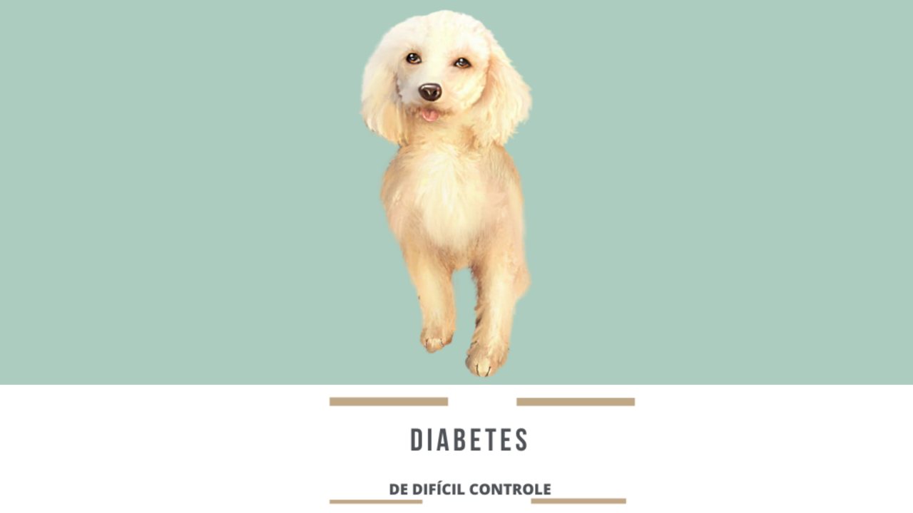 Diabetes de difícil controle: o que a terapia integrativa pode somar