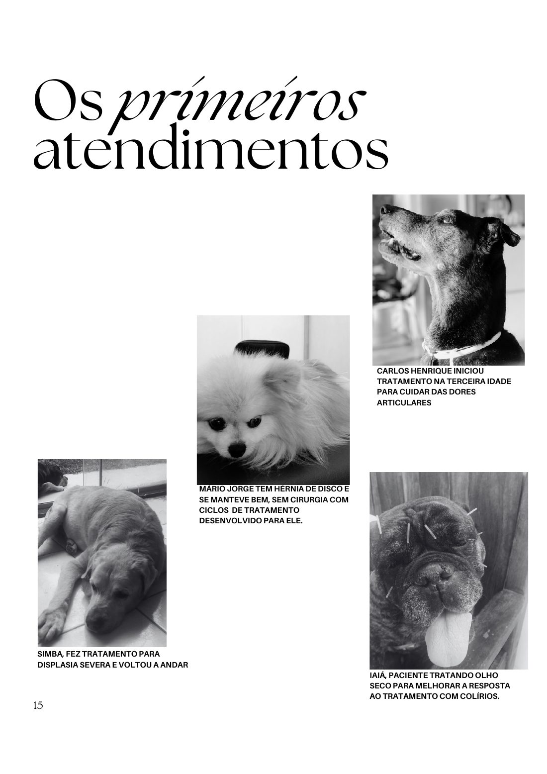 Os primeiros atendimentos — página 15