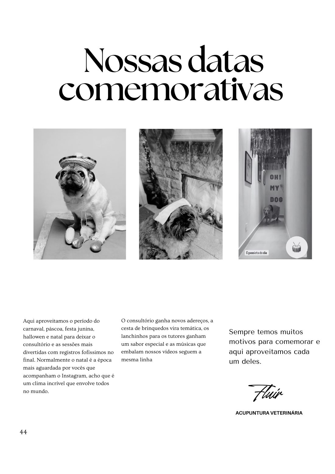 Nossas datas comemorativas — página 44